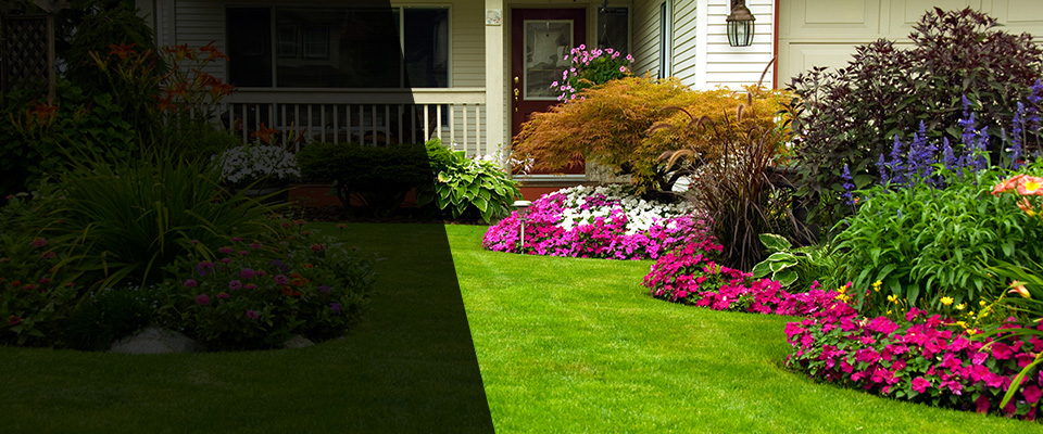 New Bern Landscapers