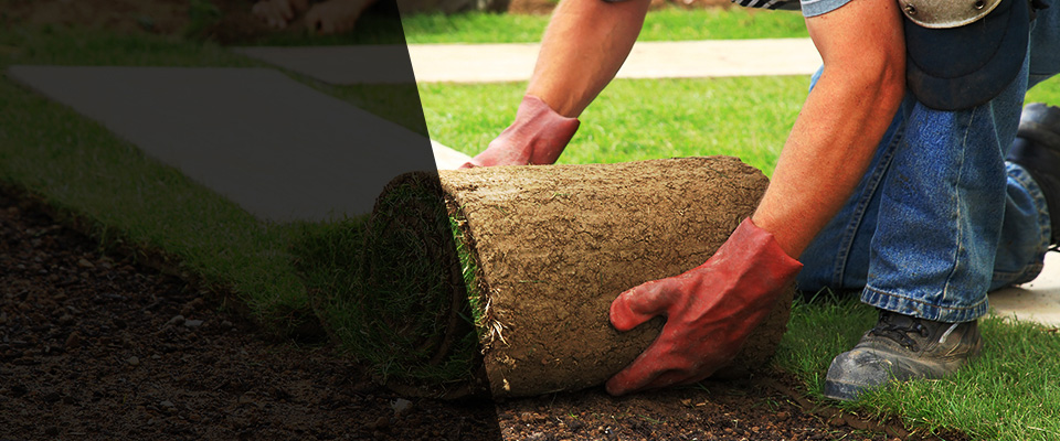 New Bern Landscapers